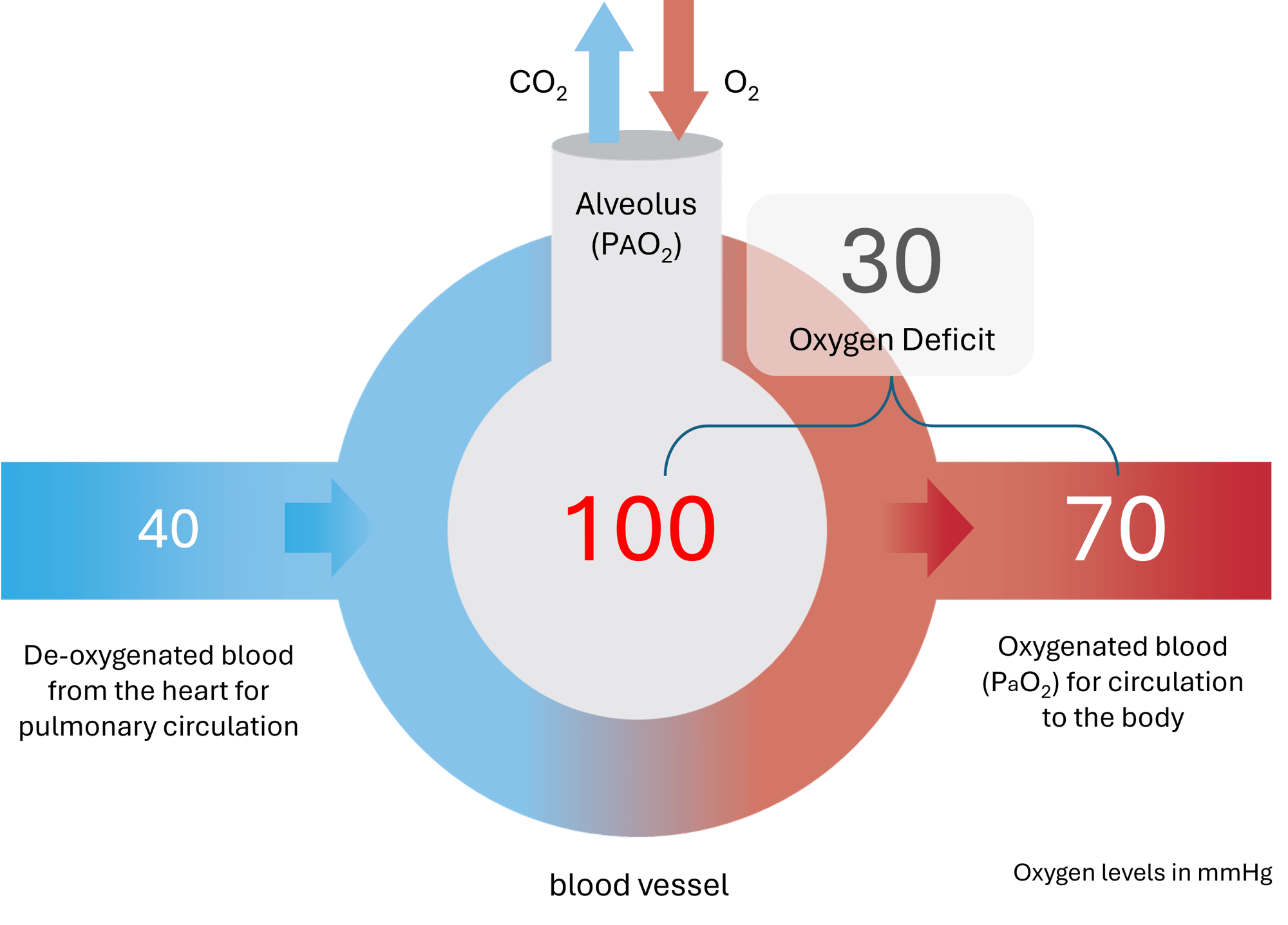 oxygendeficit-web