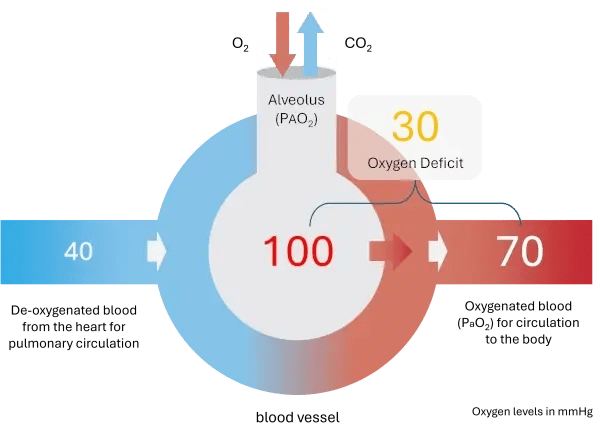 oxygendefs